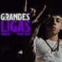GRANDES LIGAS