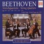 BEETHOVEN, L. Van: String Quartets Nos. 11-16 / Grosse Fuge (Suske Quartet)