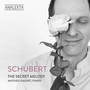 Schubert: Sonata No. 19 in A Major, D. 959: II. Andantino