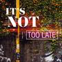 It's Not Too Late (feat. Shelly Moore)