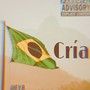 Cría