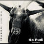 Ke Pudi (feat. TerryTerry)