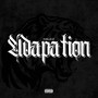Adaptation (Explicit)