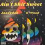 Ain't **** Sweet (feat. G-Wood) [Explicit]