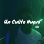 Un Culito Nuevo (Explicit)