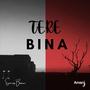 Tere Bina