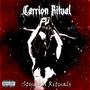 Stygian Rituals (Explicit)