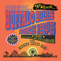 97 Rock: Buffalo Bills Songs 1994-95