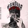 Gata Bandida (feat. TGOT & F Zhmidt) [Explicit]