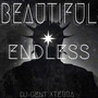 Beautiful Endless