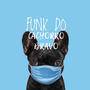 Funk do Cachorro Bravo