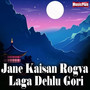 Jane Kaisan Rogva Laga Dehlu Gori