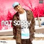 Not Sorry (Explicit)