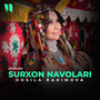 Surxon navolari (Popuri)