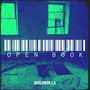 Open Book (Explicit)