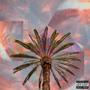 Pink Skies and Palm Trees (Explicit)