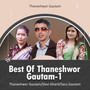 Best Of Thaneshwor Gautam-1