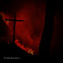 Lambs Sacriface (Explicit)
