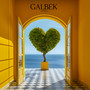 GALBEK