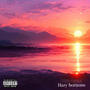 Hazy Horizons (Explicit)