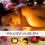 Wellness Musik SPA - Musik Zen zum Entspannen