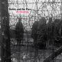 Reckoning (feat. Troy Moore)