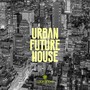 Urban Future House