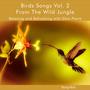 Birds Songs Vol. 2 From The Wild Jungle Relaxing and Refreshing with Slow Piano