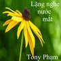 Lặng nghe nước mắt