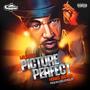 Picture Perfect (Explicit)