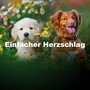 Einfacher Herzschlag