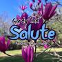 Salute (feat. Ryan troester)