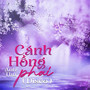 Cánh Hồng Phai (Disco)