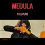 Medula (feat. Luvurs) [Explicit]