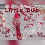 Little Bird (Explicit)