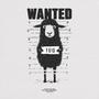 lost sheep