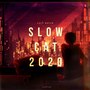 Slow Cat 2020