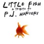 The Songs of PJ Harvey