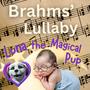 Brahms' Lullaby