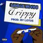 Trippy (Explicit)