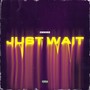 Just Wait (Explicit)