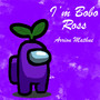 I'm Bobo Ross