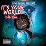 IT'S YOUR WORLD (Explicit)