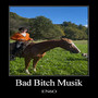 Bad ***** Musik (Explicit)