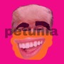 petunia