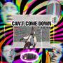 Can't Come Down (feat. Jess Reau) [Explicit]