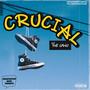 Crucial (feat. Twin Gatez & Ayo Duke) [Explicit]