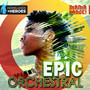 Epic Orchestral II - H&h, Vol. 6