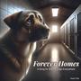 Forever Homes