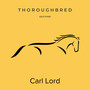 Thoroughbred